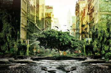 The World Without Humans