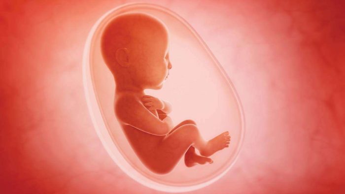 Supporting Abortion
