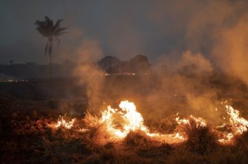 The Amazon Is Burning