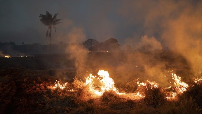 The Amazon Is Burning