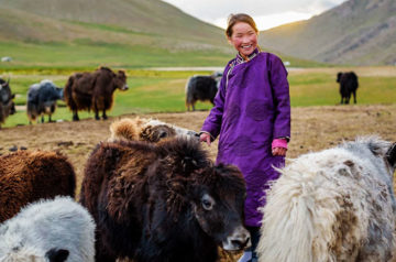 Mongolia Donates 30000 Sheep to China to Help with Coronavirus