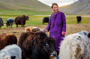 Mongolia Donates 30000 Sheep to China to Help with Coronavirus