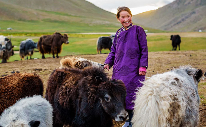 Mongolia Donates 30000 Sheep to China to Help with Coronavirus